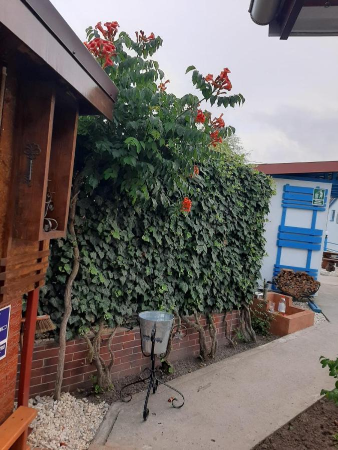 Complex Turistic Essenza Hotel Murighiol Eksteriør billede